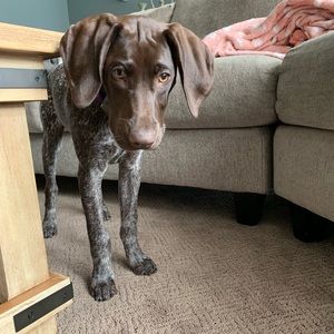 Meet your Posher, Anthony